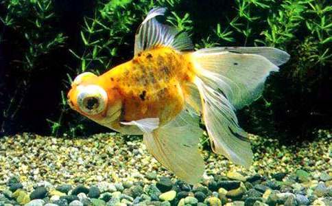 �Ұl(f��)�F(xi��n)�˽��~����������3ƪ