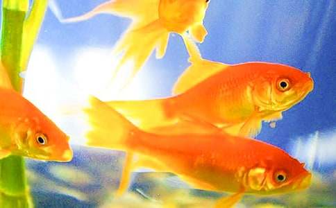 ���~��������