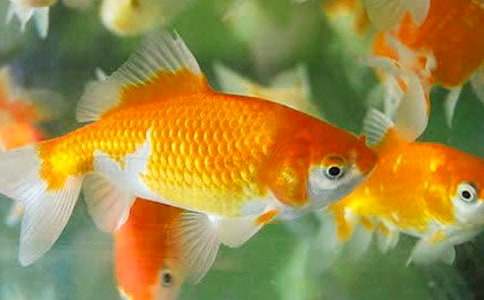 �^����~����15ƪ