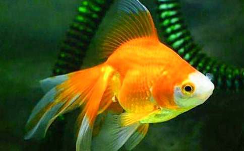 �Ұl(f��)�F(xi��n)�˽��~���������ģ�ͨ��26ƪ��