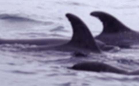 �L�~����400�֣����x37ƪ��