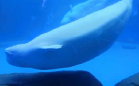 �L�~��������������