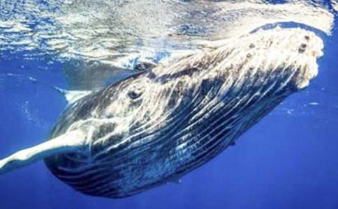 �L�~(y��)����400����ƪ