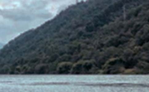 �茑�ļ���ɫ���Ĵ�ȫ