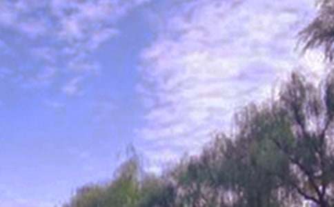 �茑(xi��)����Ȼ��ɫ������3ƪ