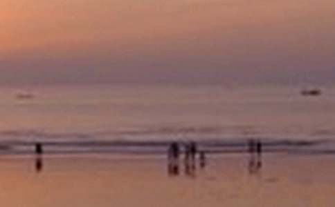 ��һ�茑��ɫ������