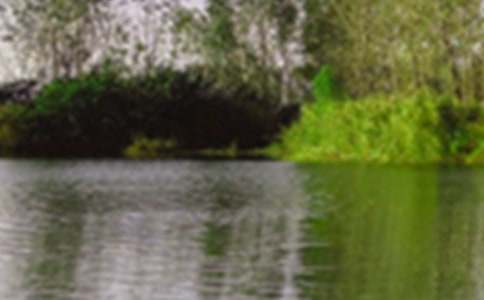 �@�ﾰɫ�����ľ��x5ƪ