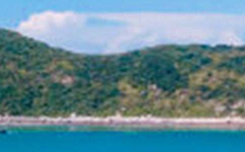 �ʌm��ɫ������