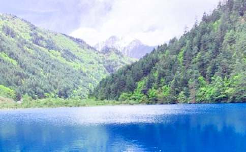 美麗的九寨溝作文(10篇)