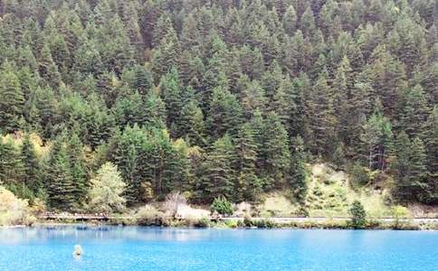 描寫冬天的九寨溝作文