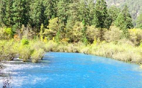 ��կ����ӛ���ģ�ͨ��48ƪ��