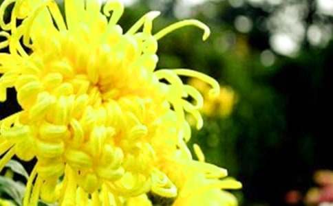 ����Ʒ�������ľջ�������ƪ