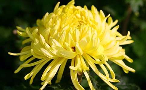 ���x��ϲ�g�ջ�����5ƪ