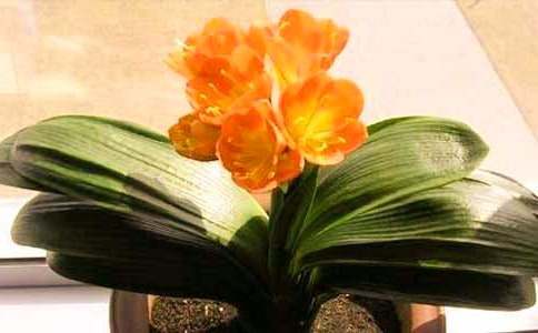 �����m������400��3ƪ