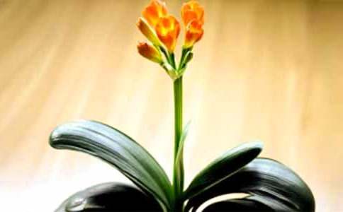 �茑�����m�����ķ���3ƪ