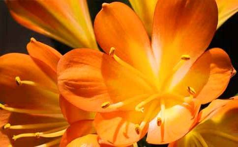 �P�ھ����m������300��31ƪ