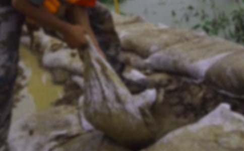 ��������400��6ƪ