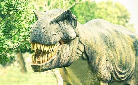 ���A�����@һ����С�W(xu��)����