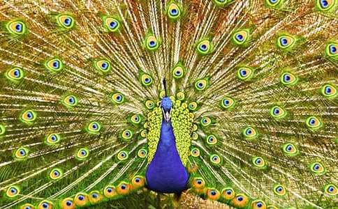 ��ȸ�W(xu��)�wͯԒ����