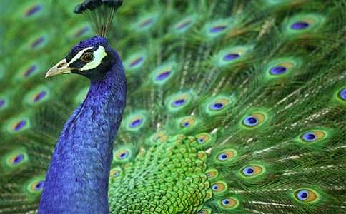 ��ȸ�~�^����ӛ��ͨ��13ƪ��