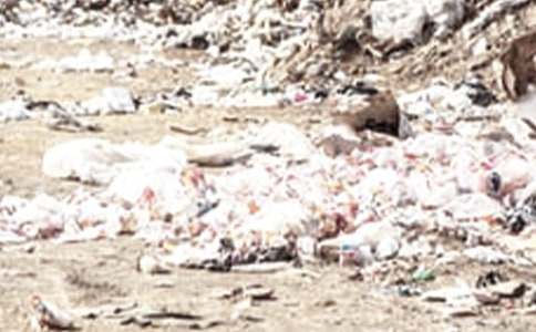 �ЌW(xu��)���ƻ�����:����l(f��)���h(hu��n)������Ͱ