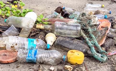 һ���ۓ�������С����������