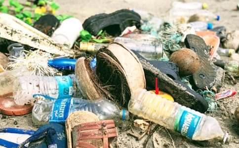 垃圾桶才是香蕉皮的家作文