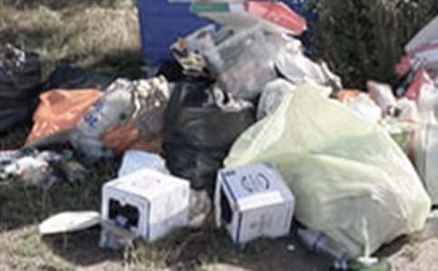 �Ұl(f��)�F(xi��n)������ʳƷ����������