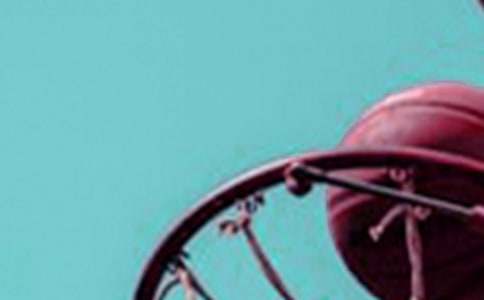 我有籃球了作文