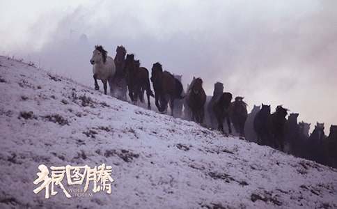 狼圖騰的初中讀書筆記