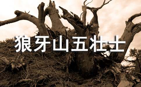 ����ɽ���ʿ�x���