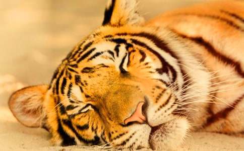 �ϻ���ͯԒ����600��3ƪ