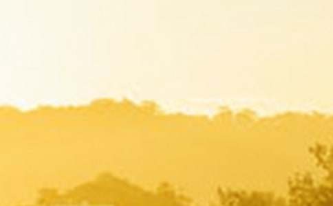 �����������~