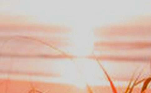 黎明之美初三作文(通用58篇)