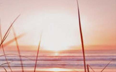 ���ڴ������ĵ�������