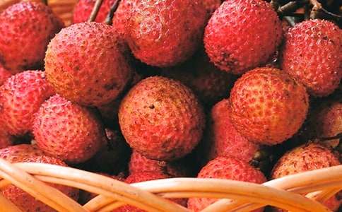 ��֦������20ƪ