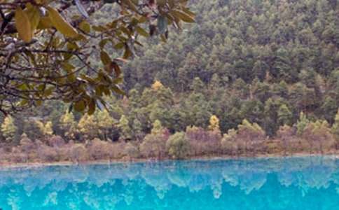 ������������֮������