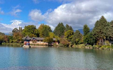 �茑��������������