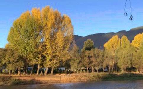 �茑�����ų����ģ�ͨ��105ƪ��