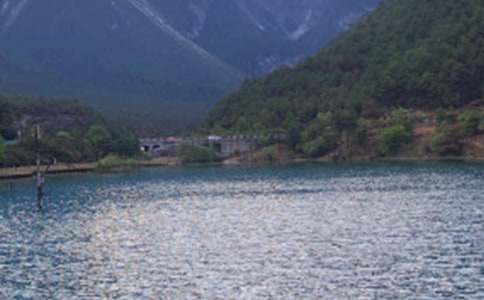 ��(d��ng)���������ųǌ�(d��o)������