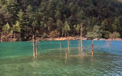 云南麗江古城的作文