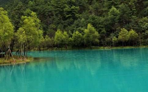 �������ųǳ�һ����