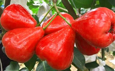 �����������ɏ�F����x��