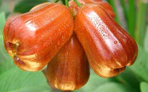 ɏ�F���꼉(j��)����