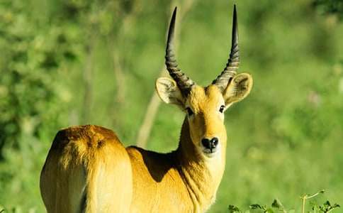 �m(x��)������ľ������(6ƪ)