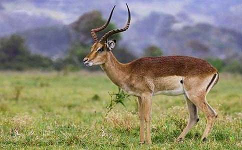 �������ݡ��m(x��)������