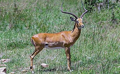 ����ľ���f(shu��)�n��2015����