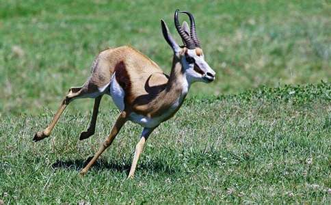 ������Ĺ�ݸ������ģ�ͨ��24ƪ��