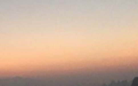 �y�������賿��������