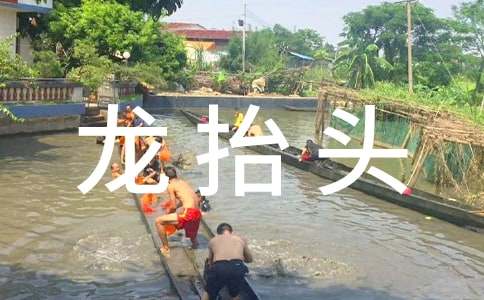 ���¶���?zh��)��^��(x��)������800��